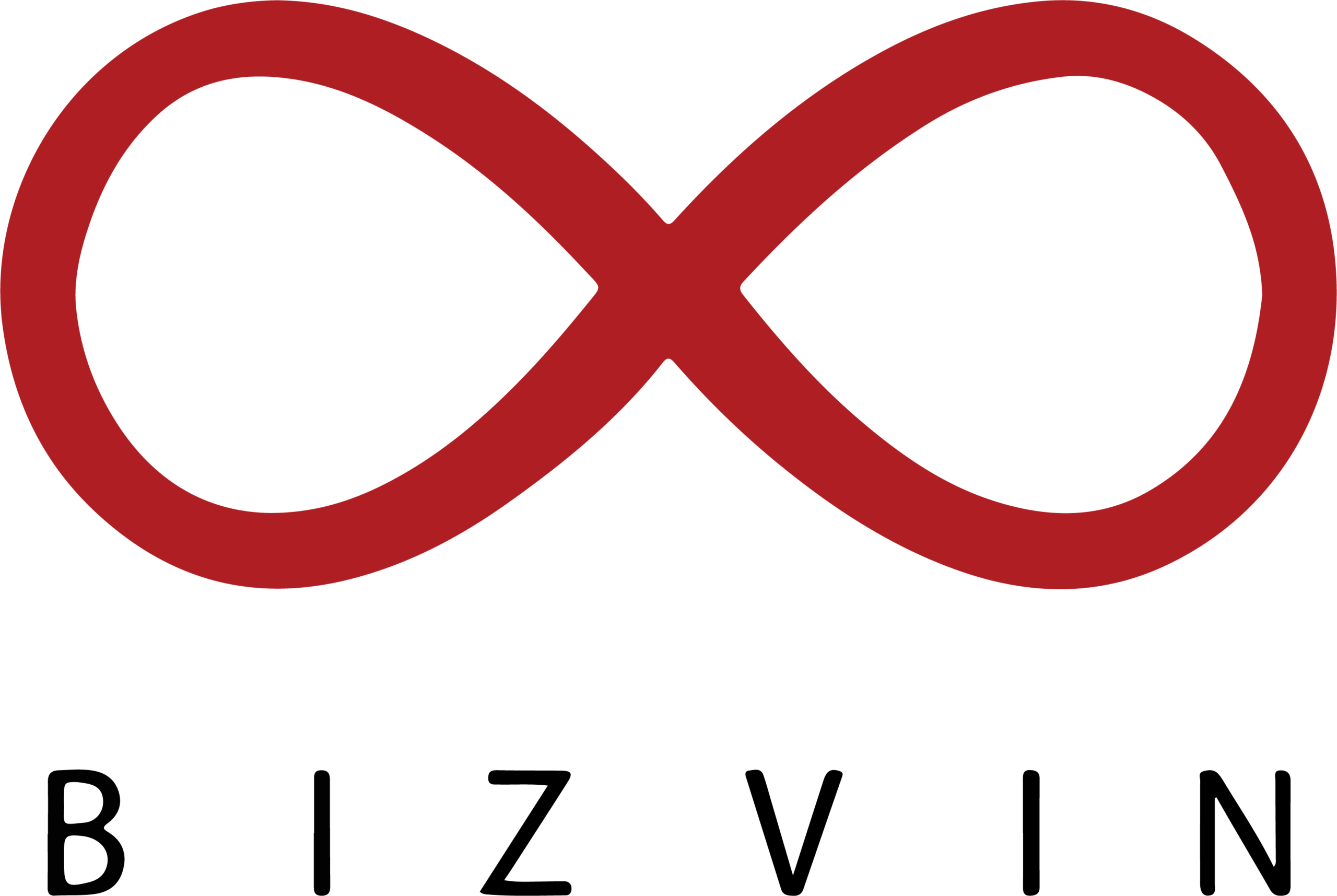 bIZVIN LOGO